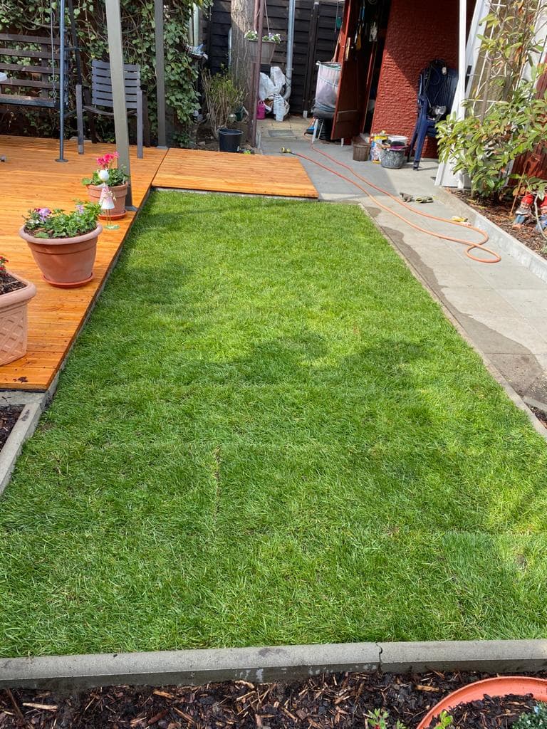 Projekt rollrasen.jpeg